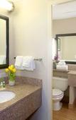Туры в отель Holiday Inn Binghamton Downtown by IHG Туры в отель Holiday Inn Binghamton Downtown by IHG