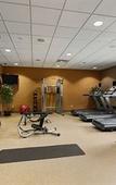 Туры в отель Homewood Suites by Hilton Binghamton/Vestal, NY Туры в отель Homewood Suites by Hilton Binghamton/Vestal, NY