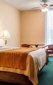 Туры в отель Comfort Inn Binghamton I-81 Туры в отель Comfort Inn Binghamton I-81