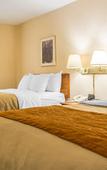 Туры в отель Comfort Inn Binghamton I-81 Туры в отель Comfort Inn Binghamton I-81