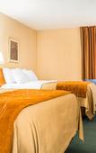 Туры в отель Comfort Inn Binghamton I-81 Туры в отель Comfort Inn Binghamton I-81