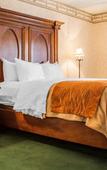 Туры в отель Comfort Inn Binghamton I-81 Туры в отель Comfort Inn Binghamton I-81