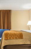 Туры в отель Comfort Inn Binghamton I-81 Туры в отель Comfort Inn Binghamton I-81