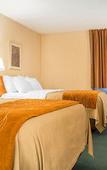 Туры в отель Comfort Inn Binghamton I-81 Туры в отель Comfort Inn Binghamton I-81