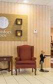 Туры в отель Comfort Inn Binghamton I-81 Туры в отель Comfort Inn Binghamton I-81
