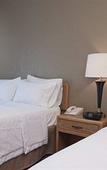 Туры в отель Hampton Inn Binghamton/Johnson City Туры в отель Hampton Inn Binghamton/Johnson City