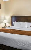 Туры в отель Spark by Hilton Vestal Binghamton University Area Туры в отель Spark by Hilton Vestal Binghamton University Area