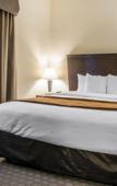 Туры в отель Spark by Hilton Vestal Binghamton University Area Туры в отель Spark by Hilton Vestal Binghamton University Area