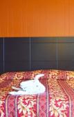 Туры в отель Skyview Manor Motel Туры в отель Skyview Manor Motel