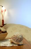 Туры в отель Pagoda Hotel & Residence Туры в отель Pagoda Hotel & Residence