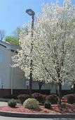 Туры в отель Best Western Brockport Inn & Suites Туры в отель Best Western Brockport Inn & Suites