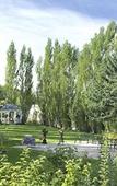 Туры в отель The Gibson Mansion Туры в отель The Gibson Mansion