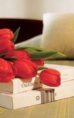 Туры в отель Remisens Premium Grand Hotel Palace Туры в отель Remisens Premium Grand Hotel Palace