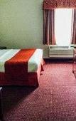 Туры в отель Quality Inn Zephyrhills-dade City Туры в отель Quality Inn Zephyrhills-dade City