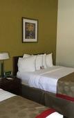 Туры в отель Quality Inn Zephyrhills-dade City Туры в отель Quality Inn Zephyrhills-dade City