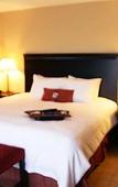 Туры в отель Hampton Inn Dade City - Zephyrhills Туры в отель Hampton Inn Dade City - Zephyrhills
