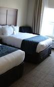 Туры в отель Comfort Inn & Suites Northern Kentucky Туры в отель Comfort Inn & Suites Northern Kentucky