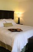 Туры в отель Hampton Inn & Suites Wilder Туры в отель Hampton Inn & Suites Wilder
