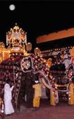 Туры в отель Palms Mount Lavinia Туры в отель Palms Mount Lavinia