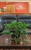 Туры в отель Baymont by Wyndham Salina Туры в отель Baymont by Wyndham Salina
