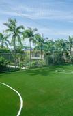Туры в отель Palm Beach Resort & Spa Туры в отель Palm Beach Resort & Spa