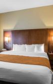 Туры в отель Comfort Inn & Suites Sayre Туры в отель Comfort Inn & Suites Sayre