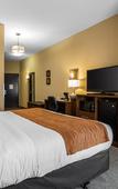 Туры в отель Comfort Inn & Suites Sayre Туры в отель Comfort Inn & Suites Sayre