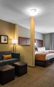 Туры в отель Comfort Inn & Suites Sayre Туры в отель Comfort Inn & Suites Sayre