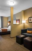 Туры в отель Comfort Inn & Suites Sayre Туры в отель Comfort Inn & Suites Sayre