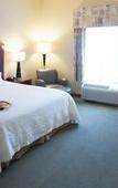 Туры в отель Hampton Inn Sayre Туры в отель Hampton Inn Sayre