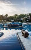 Туры в отель Palm Garden Beach Resort & Spa Туры в отель Palm Garden Beach Resort & Spa