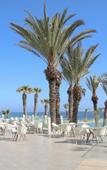 Туры в отель Happy Days Palm Inn Туры в отель Happy Days Palm Inn