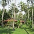 Тур в Шри-Ланку, Тангалле с 29 Апреля. Отель: Palm paradise cabanas 3*