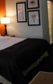 Туры в отель Sleep Inn & Suites Salina I-135 Туры в отель Sleep Inn & Suites Salina I-135