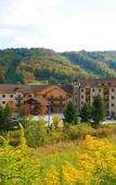 Туры в отель The Tamarack Club Туры в отель The Tamarack Club