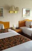Туры в отель Adirondack Retreat Inn & Suites Туры в отель Adirondack Retreat Inn & Suites