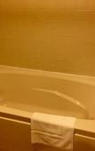 Туры в отель Adirondack Retreat Inn & Suites Туры в отель Adirondack Retreat Inn & Suites