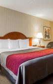 Туры в отель Holiday Inn Express & Suites Hawthorne Elmsford North by IHG Туры в отель Holiday Inn Express & Suites Hawthorne Elmsford North by IHG