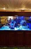 Туры в отель Comfort Inn Syosset - Long Island Туры в отель Comfort Inn Syosset - Long Island