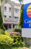 Туры в отель Comfort Inn Syosset - Long Island Туры в отель Comfort Inn Syosset - Long Island