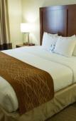 Туры в отель Comfort Inn Syosset - Long Island Туры в отель Comfort Inn Syosset - Long Island