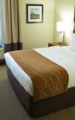 Туры в отель Comfort Inn Syosset - Long Island Туры в отель Comfort Inn Syosset - Long Island