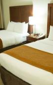Туры в отель Comfort Inn Syosset - Long Island Туры в отель Comfort Inn Syosset - Long Island
