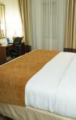 Туры в отель Comfort Inn Syosset - Long Island Туры в отель Comfort Inn Syosset - Long Island