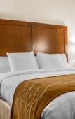 Туры в отель Comfort Inn Syosset - Long Island Туры в отель Comfort Inn Syosset - Long Island
