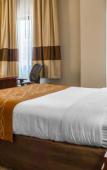 Туры в отель Comfort Inn Syosset - Long Island Туры в отель Comfort Inn Syosset - Long Island