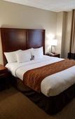 Туры в отель Comfort Inn Syosset - Long Island Туры в отель Comfort Inn Syosset - Long Island