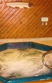 Туры в отель Best Western Adirondack Inn Туры в отель Best Western Adirondack Inn