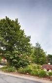 Туры в отель Best Western Adirondack Inn Туры в отель Best Western Adirondack Inn