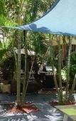 Туры в отель Ocean Inn Туры в отель Ocean Inn